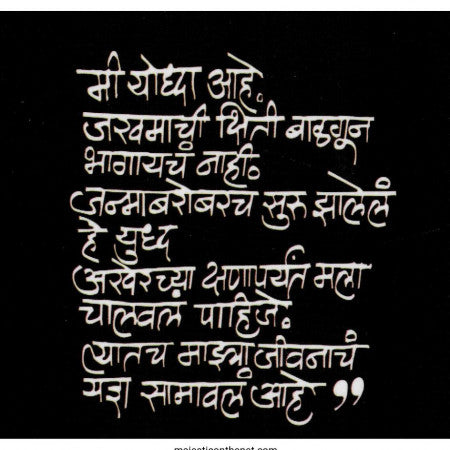राधेय, लेखक : रणजीत देसाई